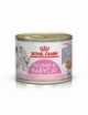 ROYAL CANIN Mother & BabyCat 195g