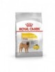 ROYAL CANIN Dermacomfort Medium 3Kg