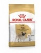ROYAL CANIN Carlino 1,5Kg