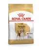 ROYAL CANIN Beagle 3Kg