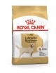 ROYAL CANIN Labrador Retrevier 3kg