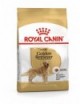 ROYAL CANIN Golden Retrevier 3kg