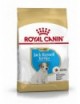 ROYAL CANIN Puppy Jack Russel 3Kg