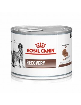 ROYAL CANIN Canine/Feline Recovery 195g comida humeda para perro y gato