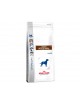 ROYAL CANIN Canine Gastrointestinal 15Kg