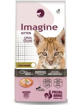 IMAGINE Cat Kitten 8 kg comida para gatitos