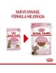 ROYAL CANIN Kitten Sterilized salsa 85g