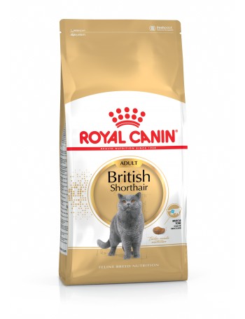 ROYAL CANIN British Shorthair 10kg