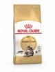 ROYAL CANIN Maine Coon 10kg