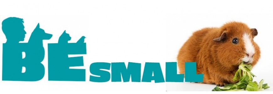 Be Small